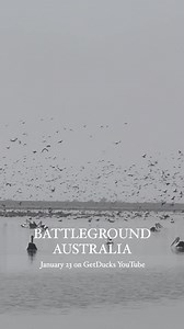 BATTLEGROUND AUSTRALIA. There are no ducks in Australia, say the antis. Baloney say those that know better. Importantly, the only meaningful waterfowl habitat conservation comes mostly in the forms of time and money that waterfowl hunters—not antis—are investing. On January 23, tune in to GetDucks YouTube channel for BATTLEGROUND AUSTRALIA. With the support of Safari Club International - SCI, Field & Game Australia and Electrical Trade Union, we hunters-scientists-conservationists explore the be