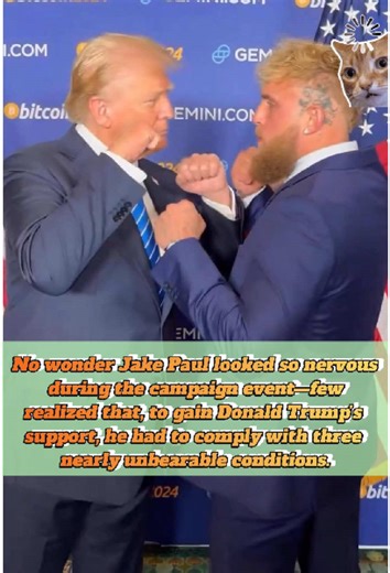 Did you notice the sweat under Jake Paul’s armpits? Few realize that, to gain Trump’s support, he had to comply with three nearly unbearable conditions. #usa #usa🇺🇸 #fyp #jakepaul #foryoupage #trump #wwe
