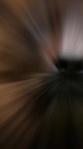 The 3 Most Intelligent Animals AnimalIntelligence SmartAnimals CleverCritters AnimalIQ smartestanimals smartestanimalsintheworld mostintelligent animals animalssmarter smartanimals smartanimal octupus dolphin dolphins SmartestAnimals smart parrot smartparrot smartparrots smartoctopus facts rank ranking ranked upinthespace | upinthespace