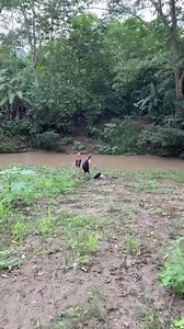 Con Chila tiros de atarraya | Gabriela Velásquez