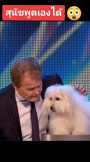 TEA CB300R บน TikTok