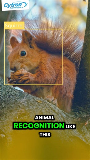 Build your own real-time animal recognition system using Raspberry Pi 5. 📲 check out full tutorial in our youtube. Youtube Link : https://youtu.be/495_9Io7ckI #RaspberryPi #chatgpt #industry #deepseek #artificelintelligence #AI #factory #revolution #technology #workshop #training #tech #computer #software #programming #python #arduino | Cytron Technologies Malaysia