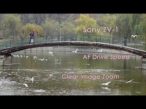 Sony ZV 1 AF Speed Clear Image zoom test
