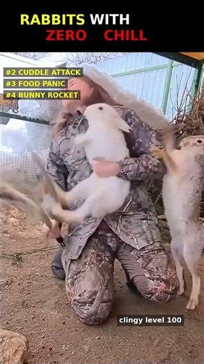 Rabbits With ZERO Chill 😂 #shorts