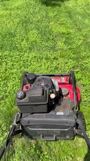 Toro TimeMaster Wet Grass Problems: 3 Reasons It Struggles on Wet Lawns (OKC Lawn Care Reality)