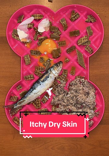 Help Your Dog’s Dry Itchy Skin with Simple Tips