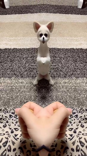 予想つかない動きが笑える#ミラーチャレンジ #チワワ