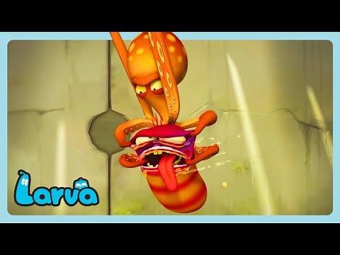 Larva - Luta de Polvos! | Desenhos animados para crianças | WildBrain Português