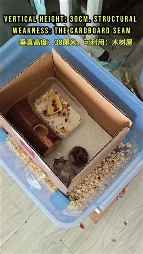 Scofield Mouse: The Great Escape Begins! Prison Break Parody #PrisonBreak #Hamster #ScofieldMouse