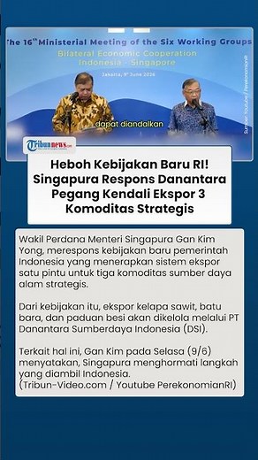 Singapore Deputy Prime Minister's Firm Reaction to Danantara Taking Control of 3 Strategic Commod...
