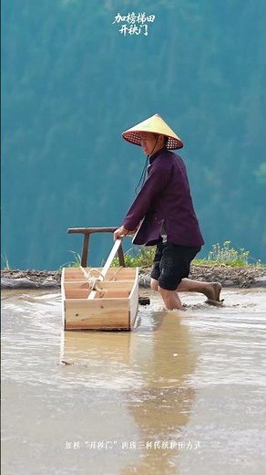 加榜梯田开秧门祈福盛典，人耕、牛耕、船耕三种传统耕田方式同台亮相，再现千年农耕文明，尽显从江梯田农耕文化的独特魅力，一犁一秧皆传承，一耕一种盼丰收！#会唱歌的从江 #加榜梯田开秧门 #多彩贵州