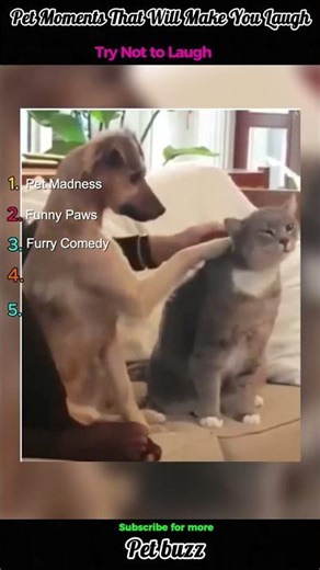 Incredible Pets Moments 😲