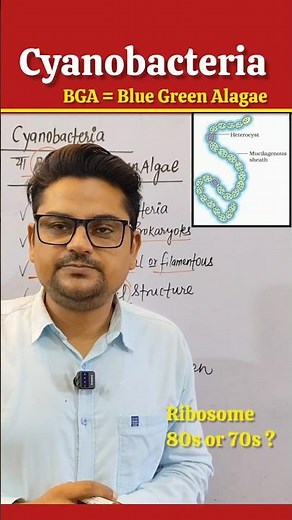 Cyanobacteria | Blue Green Algae 🔥