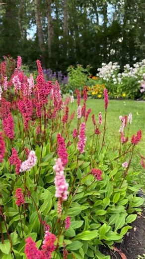 Beautiful Botanical Gardens in Alberta