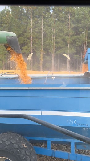 159K views · 669 reactions | When the grain cart operator is to slow! #thefiveoclockfarmer #fyp #johndeere #reels #farming #shorts #CornHarvest # | The Five O’Clock Farmer | Facebook