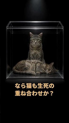 猫は生きていて、死んでいる——シュレーディンガーの猫と量子重ね合わせの正体｜30秒物理