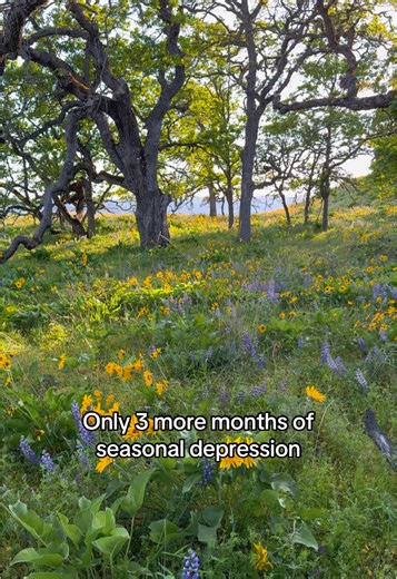 Spring is the best time of the year #oregon #pnw #spring | spring