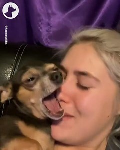 This is Hermes. Getting kisses from his mama makes him so happy 😍 | Go Fetch