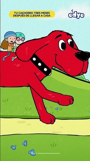 ¡Clifford, el gran perro rojo, ya está en Edye!