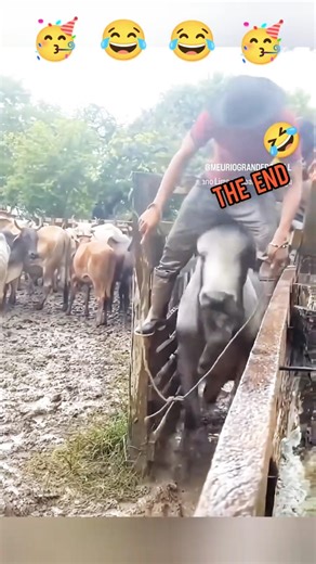 Fail compilation 😂😂😂 #shorts #shortsfeed #funnyfails #epicfails #memes #failcompilation