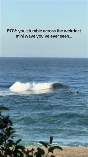 Have you ever seen a mini wave that breaks like this?! #surf #surfing #waves #miniwave
