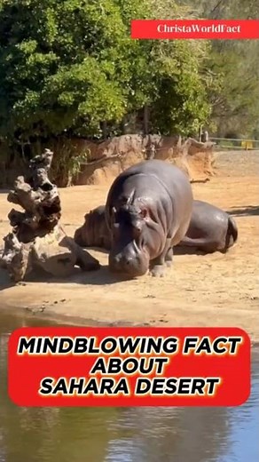 MIND-BLOWING FACT ABOUT SAHARA DESERT