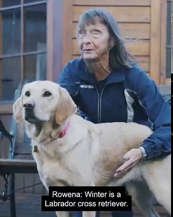 Hear what our guide dog owners have to say about their guide dogs and how they work together as a partnership in the latest episode of our ‘Journey of a guide dog’ YouTube series. 🦮 Click the link to head over to our YouTube channel 👉 https://bit.ly/3L5JAED [Video Description: This short form video is 34 seconds long. The video features guide dog owner, Rhiannon and German Shepherd guide dog, Bailey. The video also features guide dog owner, Rowena and guide dog Winter, who is a Labrador cross 