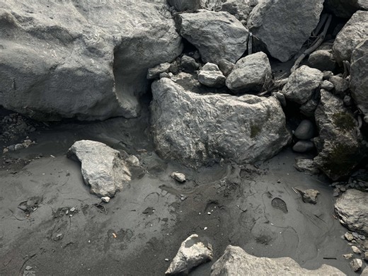 #spikes #spikesmakeup #hairstyleideas #hairstyle #fashiontiktok | hairstyle ideas