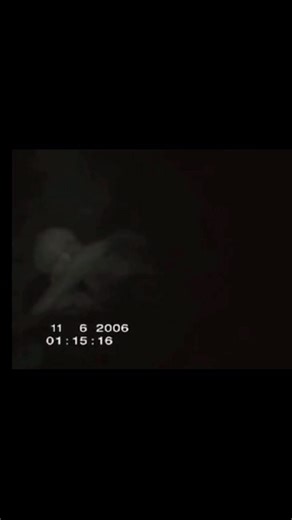 #paranormal #angel #angels #fallenangel #cryptids #entity #leaked #aliens #otherworldly | The Unknown