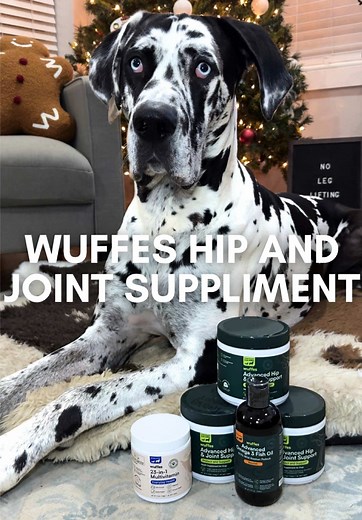 #roccothegreatdane #harlequingreatdane #dogcare #funnydog #cute @Wuffes Shop