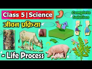 Life Process || Class 5 Science chapter 5 || Class 5 Science ||