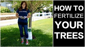 58K views · 1.5K reactions | How to Fertilize Trees!  | Garden Answer | Facebook