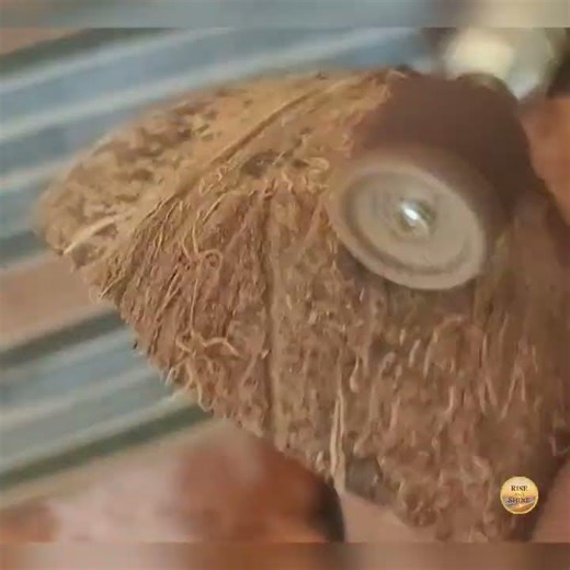 Cocoshell craft making process