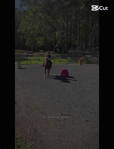 Rubyandthehorses (@rubyandthehorses)’s videos with original sound - Rubyandthehorses