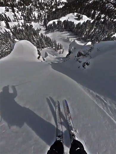 Captivating Snow Dropping Experience