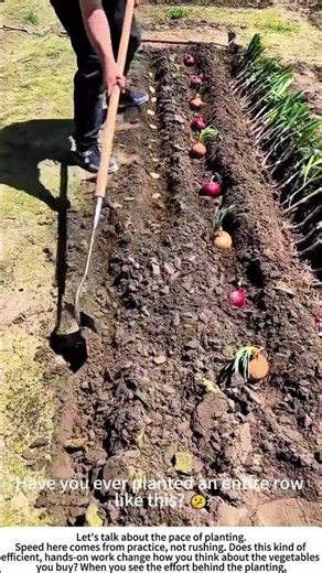 Quick Holes, Strong Starts: Hand-Planting Vegetable Seedlings 🧑🌾