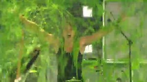 5 Seconds to Summer Gets Slimed: Kids’ Choice Awards