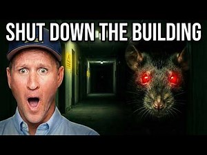The Rat Infestation So Bad It Almost Shut Down the Entire Building…