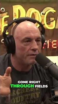 Track Wolves with this APP! 🐺😱