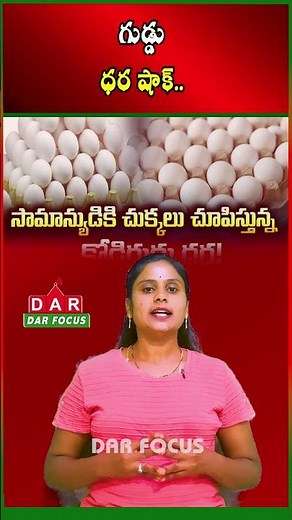 Egg Prices Surge to Record Levels Due to Poultry Losses and Rising Feed Costs | DAR FOCUS #darfocus