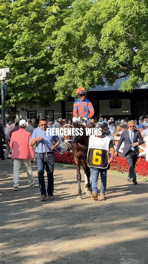 Fierceness upsets the Jim Dandy 🏇🏽 | The Saratoga Special & This Is Horse Racing