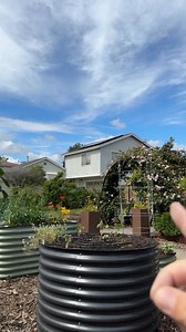 This trellis costs $5 and 5 minutes. Once you learn how to lash bamboo together you can make just about any type of trellis structure you can imagine! #garden #fyp #gardening #gardeninghack #foryiou #reels | Alina Cannon