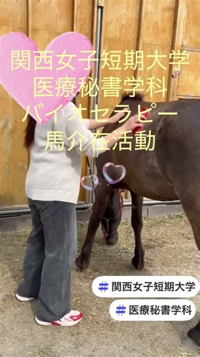 【医療秘書学科】仕掛けプログラム バイオセラピー 馬介在活動に参加しました！