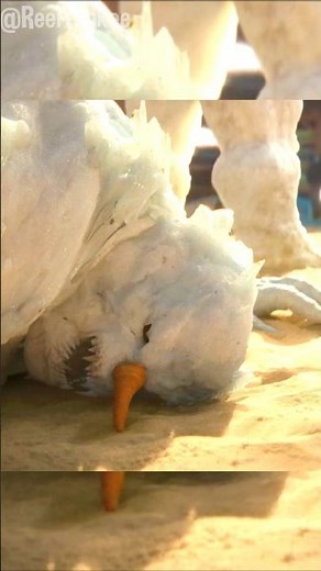 Epic Ice Warrior Battle | Frozen Fight Scene Explained in Shorts #movierecap