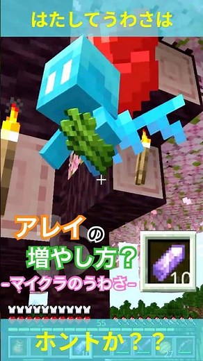 【マイクラ】サバイバルで役立つ『アレイ』のふやし方 単体での繫殖が可能らしいってホント？実際にやってみた // "How to increase the array" #shorts