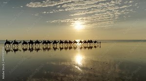 tracking clip of a camel ride at sunset on cable beach in broome in western australia