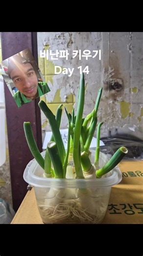 사미르의 파 키우기 Day 14 #재테크