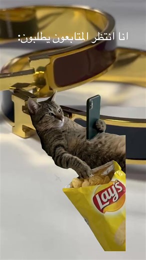 Trendy Accessories for Girls in Libya