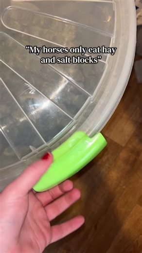 Caring for Horses: Prioritizing Their Health and Happiness