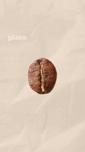 What's the Difference - Arabica and Robusta Coffee